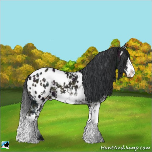 Horse Color:Midnight Brown Ice Onyx Sabino Appaloosa 