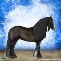Horse Color:Midnight Brown Onyx Sabino 