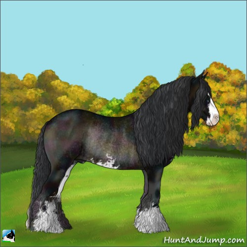 Horse Color:Midnight Brown Onyx Sabino Rabicano 