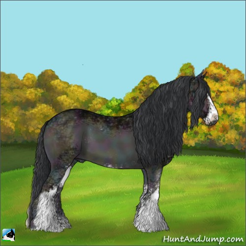 Horse Color:Midnight Brown Ice Onyx Sabino 