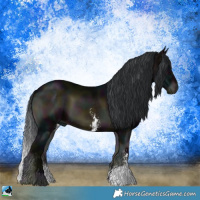 Horse Color:Midnight Brown Onyx Sabino Rabicano 