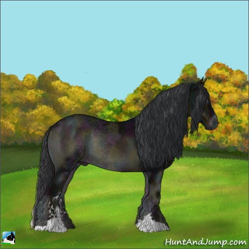 Horse Color:Midnight Brown Ice Onyx Sabino Rabicano 