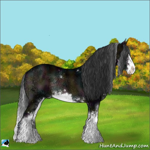 Horse Color:Midnight Bay Ice Onyx Sabino Rabicano 