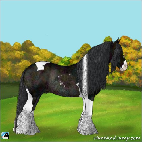 Horse Color:Midnight Brown Ice Onyx Sabino Tobiano Rabicano 