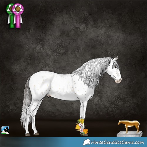 Horse Color:Buckskin Onyx Sabino Rabicano 