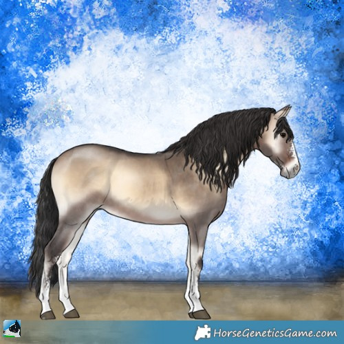Horse Color:Brown Onyx Sabino 