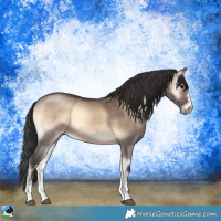 Horse Color:Brown Onyx Sabino