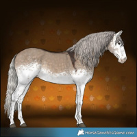 Horse Color:White Spotted Silver Brown Dun