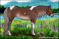 Horse Color:Liver Chestnut Tobiano 