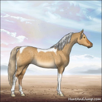 Horse Color:Gray Chocolate Palomino Dun Tobiano 
