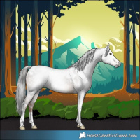 Horse Color:Gray White Spotted Liver Chestnut Tobiano 