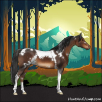 Horse Color:Gray White Spotted Liver Chestnut Tobiano 
