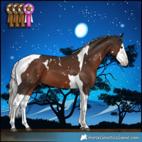 Horse Color:White Spotted Liver Chestnut Mushroom Splash Tobiano 