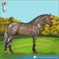 Horse Color:White Spotted Silver Brown Dun 