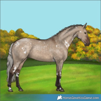 Horse Color:White Spotted Silver Brown Dun