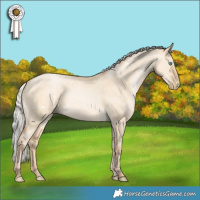 Horse Color:White Spotted Silver Buckskin Pearl Dun 