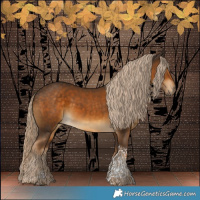 Horse Color:Chocolate Palomino Tobiano 