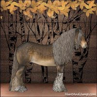 Horse Color:Chocolate Palomino Tobiano 