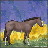 Horse Color:White Spotted Liver Red Dun 