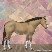 Horse Color:White Spotted Liver Red Dun Sabino 