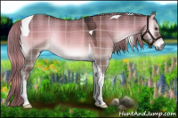 Horse Color:Plaid Liver Red Dun Onyx Tobiano Rabicano