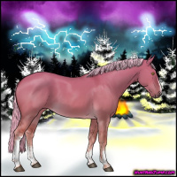 Horse Color:White Spotted Chocolate Palomino Dun Rabicano