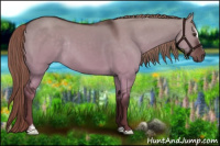 Horse Color:Liver Red Dun Sabino Rabicano