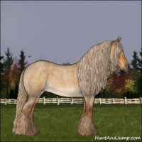Horse Color:Chocolate Palomino Roan Dun Rabicano 