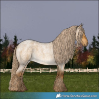 Horse Color:Chocolate Palomino Roan Dun Rabicano