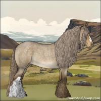 Horse Color:Chocolate Palomino Roan Dun Rabicano