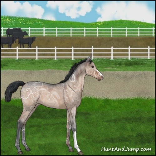 Horse Color:Bay Ice Roan Dun 