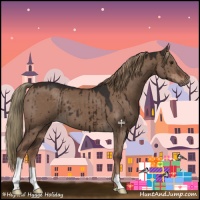 Horse Color:Liver Red Dun Brindle 