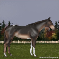 Horse Color:Liver Chestnut Sabino Tobiano