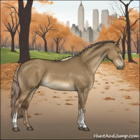 Horse Color:White Spotted Chocolate Palomino Dun Rabicano