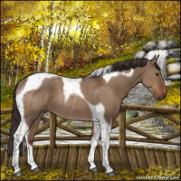 Horse Color:Liver Red Dun Tobiano Rabicano 