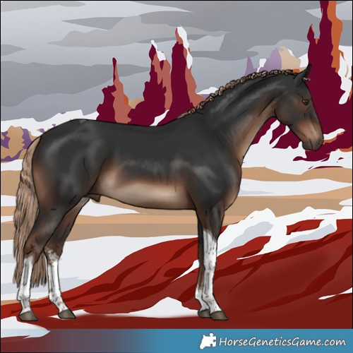 Horse Color:White Spotted Liver Chestnut Tobiano 