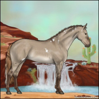 Horse Color:White Spotted Liver Red Dun Rabicano 