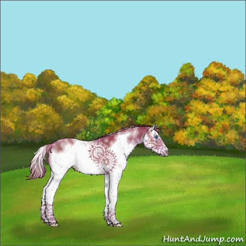 Horse Color:Watercolor White Spotted Liver Chestnut Splash Frame 