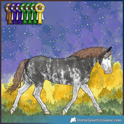 Horse Color:Liver Chestnut Sabino Splash 