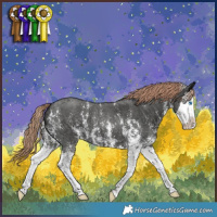 Horse Color:Liver Chestnut Sabino Splash 