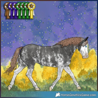 Horse Color:Liver Chestnut Sabino Splash 