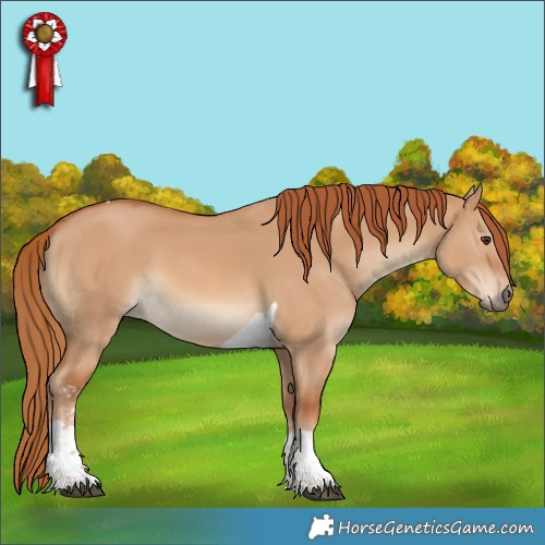 Horse Color:Red Dun Sabino Tobiano 