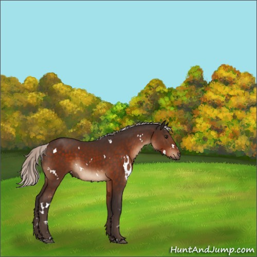 Horse Color:White Spotted Silver Brown 