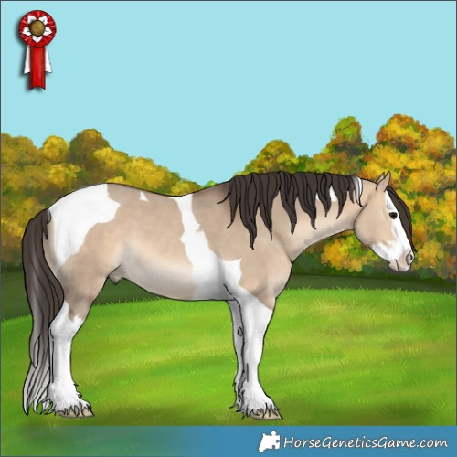 Horse Color:Bay Dun Splash Tobiano 