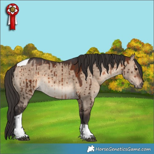 Horse Color:Bay Dun Tobiano Brindle 