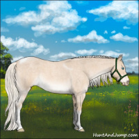 Horse Color:Cremello Roan Tobiano