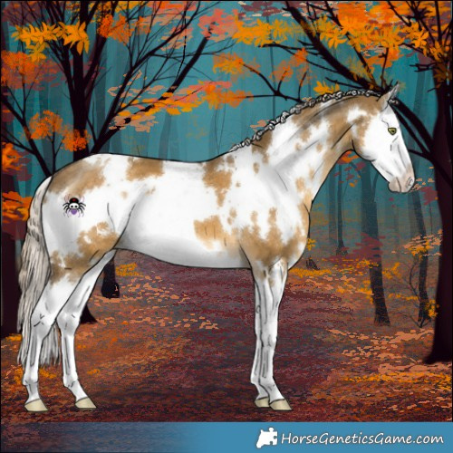 Horse Color:White Spotted Chocolate Palomino Dun Mushroom Splash 