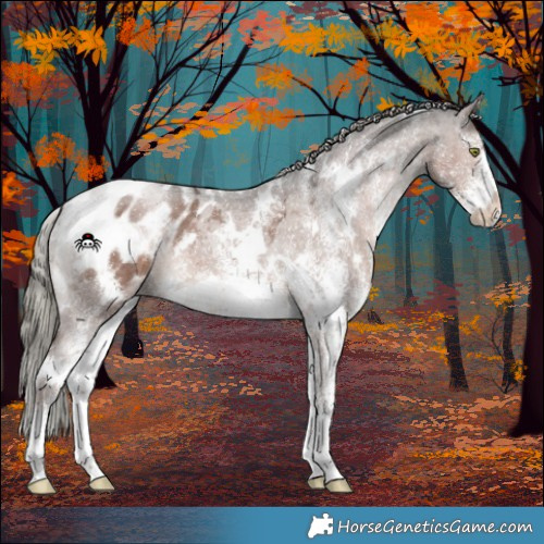 Horse Color:White Spotted Liver Chestnut Mushroom Appaloosa 