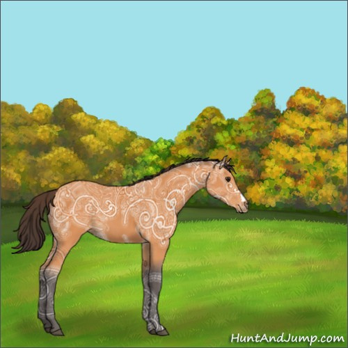 Horse Color:Buckskin Ice 