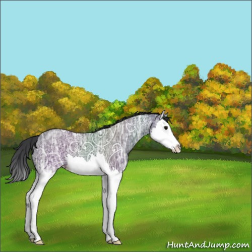 Horse Color:Black Ice Splash 